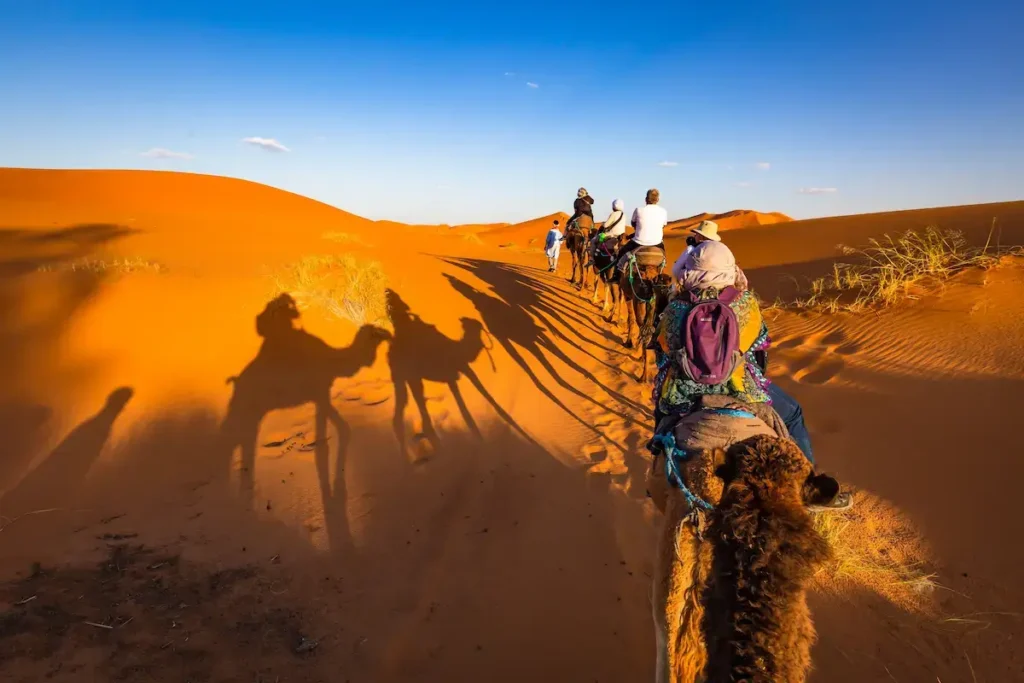 A camel caravan trekking across the golden dunes | Proper Morocco Tours